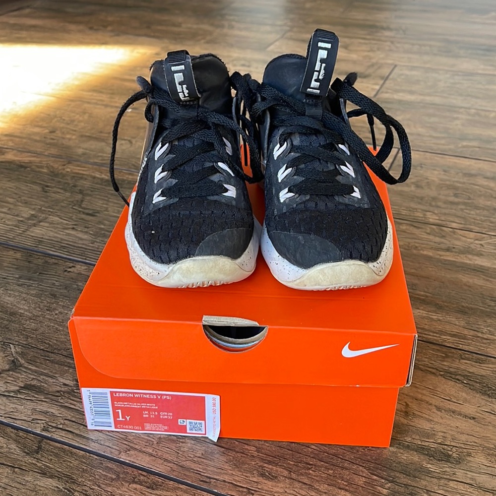 Nike Lebron Witness V
